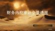 財務內控審計全景透視