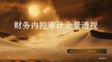 財務內控審計全景透視
