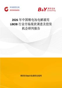 2026年中國鋰電池電解液用LiBOB行業市場現狀調查及投資機會研判報告