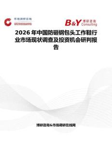 2026年中國防砸鋼包頭工作鞋行業(yè)市場(chǎng)現(xiàn)狀調(diào)查及投資機(jī)會(huì)研判報(bào)告
