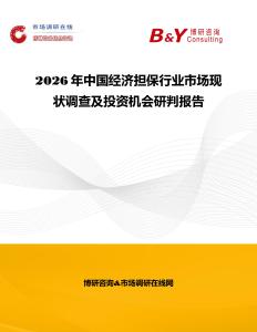 2026年中国经济担保行业市场现状调查及投资机会研判报告