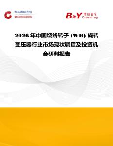 2026年中國繞線轉子 (WR) 旋轉變壓器行業市場現狀調查及投資機會研判報告