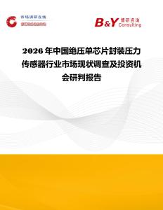2026年中國(guó)絕壓?jiǎn)涡酒庋b壓力傳感器行業(yè)市場(chǎng)現(xiàn)狀調(diào)查及投資機(jī)會(huì)研判報(bào)告