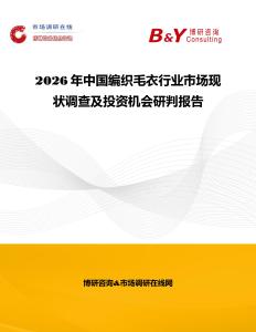 2026年中國編織毛衣行業市場現狀調查及投資機會研判報告