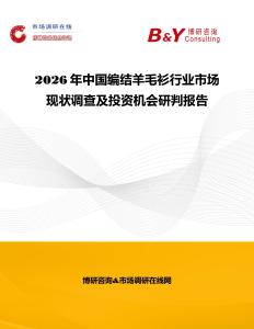 2026年中國編結羊毛衫行業市場現狀調查及投資機會研判報告