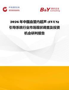 2026年中國血管內超聲 (IVUS) 引導系統行業市場現狀調查及投資機會研判報告