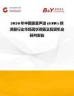 2026年中國表面聲波 (SAW) 探測器行業市場現狀調查及投資機會研判報告