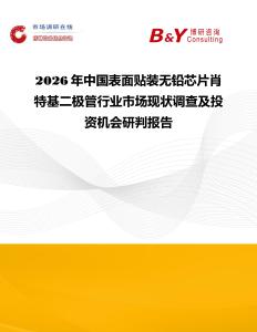 2026年中國表面貼裝無鉛芯片肖特基二極管行業市場現狀調查及投資機會研判報告
