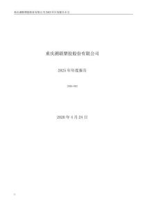 溯聯(lián)股份：2025年年度報告