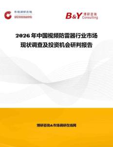 2026年中国视频防雷器行业市场现状调查及投资机会研判报告