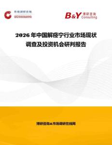 2026年中國解痙寧行業(yè)市場現(xiàn)狀調(diào)查及投資機(jī)會研判報告