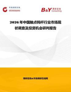 2026年中國觸點鎢桿行業市場現狀調查及投資機會研判報告