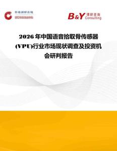 2026年中国语音拾取骨传感器(VPU)行业市场现状调查及投资机会研判报告