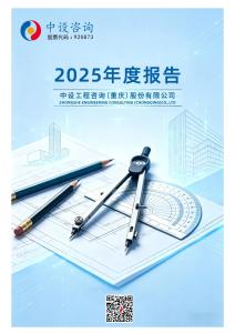 中設咨詢：2025年年度報告