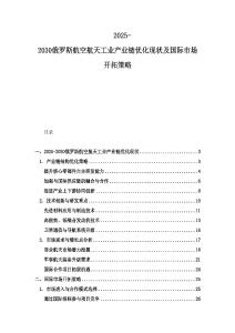 2025-2030俄羅斯航空航天工業產業鏈優化現狀及國際市場開拓策略