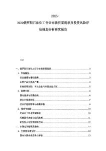 2025-2030俄羅斯石油化工行業(yè)市場供需現(xiàn)狀及投資風(fēng)險評估規(guī)劃分析研究報告