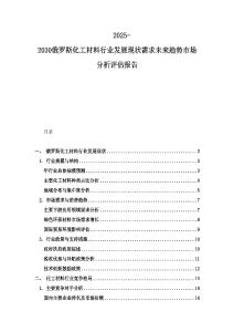 2025-2030俄羅斯化工材料行業發展現狀需求未來趨勢市場分析評估報告