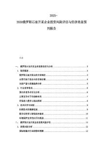 2025-2030俄羅斯石油開采企業投資風險評估與經濟效益預判報告