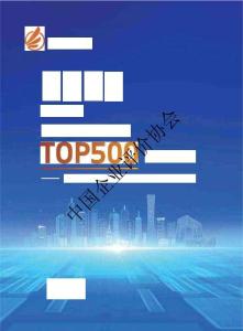 2025中國新經濟企業TOP500發展報告
