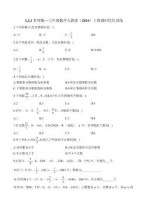 1.2.1有理數—七年級數學人教版（2024）上冊課時優化訓練（含答案）