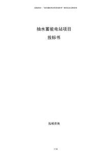 抽水蓄能電站項(xiàng)目投標(biāo)書