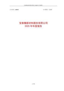 寶泰隆：2025年年度報告