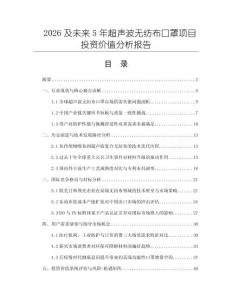 2026及未來5年超聲波無紡布口罩項目投資價值分析報告