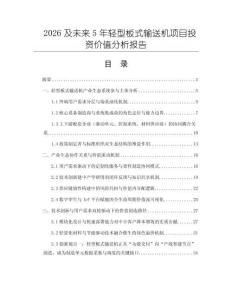 2026及未來5年輕型板式輸送機項目投資價值分析報告
