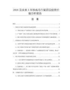 2026及未來5年鐵線毛巾架項目投資價值分析報告