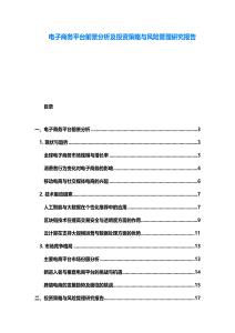 電子商務平臺前景分析及投資策略與風險管理研究報告