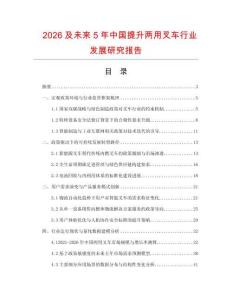 2026及未來5年中國提升兩用叉車行業(yè)發(fā)展研究報告