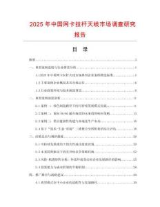 2025年中國網卡拉桿天線市場調查研究報告