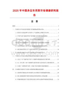 2025年中國多壓車用泵市場調查研究報告