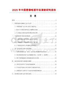 2025年中國塑像筆插市場調查研究報告