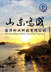 山東鳴威海洋種業科技有限公司商業計劃書