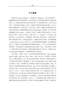 顱神經(jīng)嵴細(xì)胞遷移在上下頜磨牙牙胚模式形成中的關(guān)鍵作用