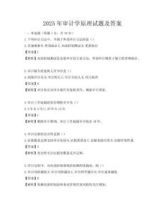 2025年審計學(xué)原理試題及答案