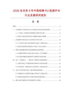 2026及未來5年中國鋁棒PU膠直桿傘行業發展研究報告