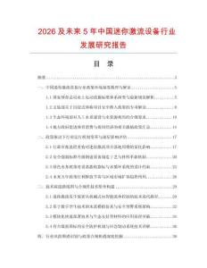 2026及未來5年中國迷你激流設備行業發展研究報告
