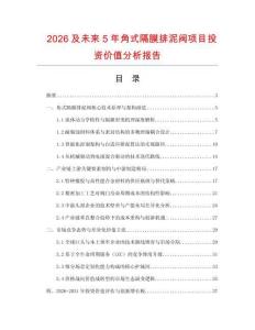 2026及未來5年角式隔膜排泥閥項目投資價值分析報告