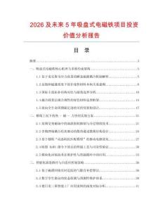2026及未來5年吸盤式電磁鐵項目投資價值分析報告