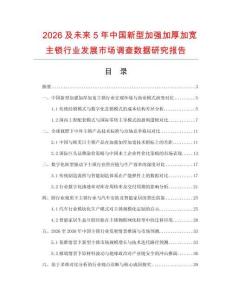 2026及未來5年中國新型加強加厚加寬主鎖行業發展市場調查數據研究報告