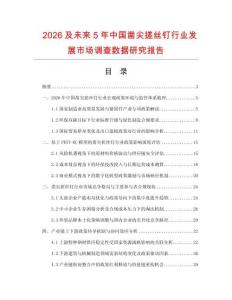 2026及未來5年中國鑿尖搓絲釘行業發展市場調查數據研究報告