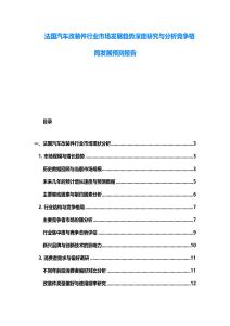 法國汽車改裝件行業市場發展趨勢深度研究與分析競爭格局發展預測報告