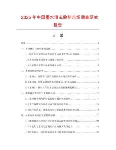 2025年中國墨水漬去除劑市場調查研究報告