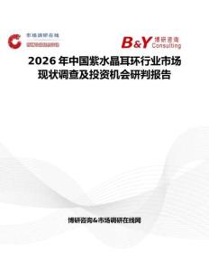 2026年中國(guó)紫水晶耳環(huán)行業(yè)市場(chǎng)現(xiàn)狀調(diào)查及投資機(jī)會(huì)研判報(bào)告