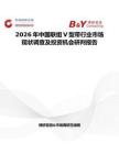 2026年中國聯組V型帶行業市場現狀調查及投資機會研判報告