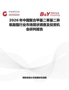 2026年中國聚合甲基二苯基二異氰酸酯行業市場現狀調查及投資機會研判報告