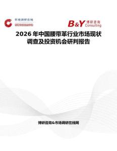 2026年中國腰帶革行業(yè)市場現(xiàn)狀調(diào)查及投資機會研判報告