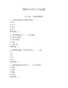 2026年安全電工考試試題及答案（典優）